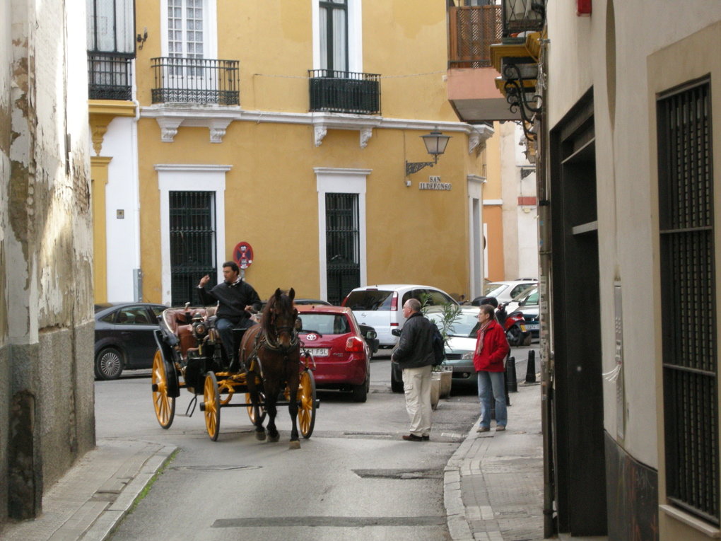Sevilla Street Scenes - 47