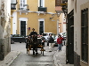 Sevilla Street Scenes - 48